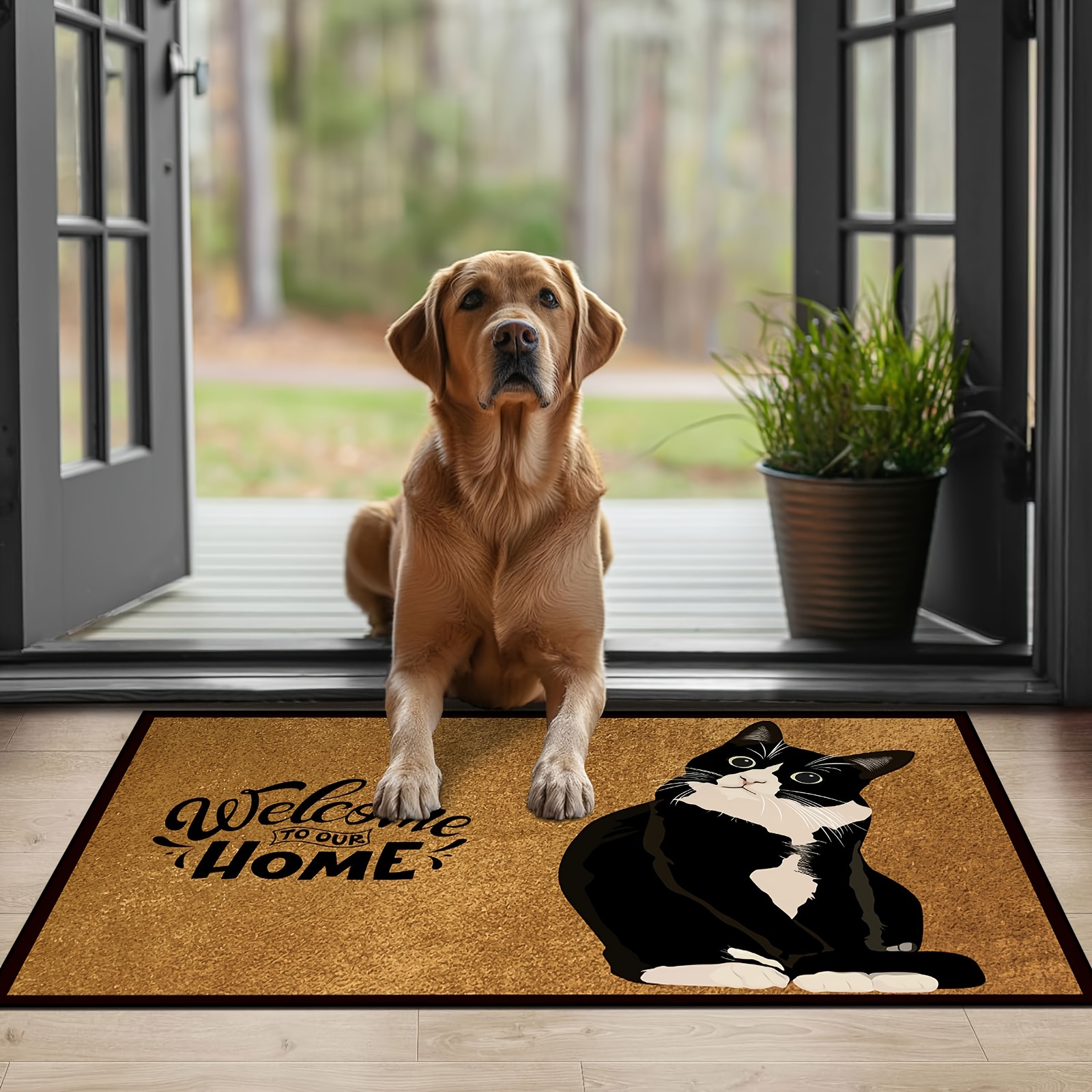 A Comfortable Rug With a Skin- - Home Bathroom Cleaning Machine recensie en prijs